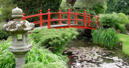 Kildare, National Stud and Japanese Gardens - Premium Day Tour from Dublin
