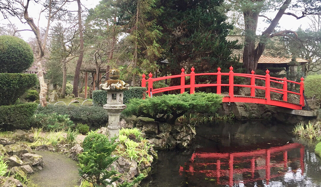 Japanese Garden, Kildare - Premium Day Tour from Dublin