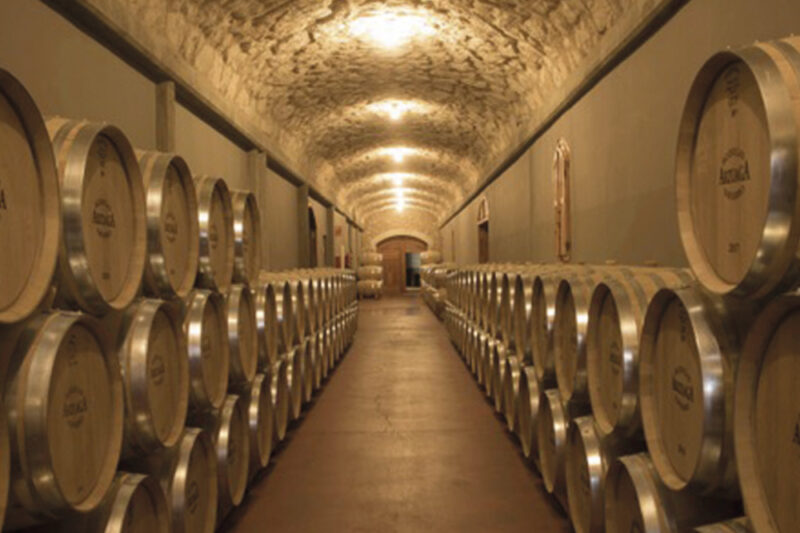 Wine Food Tours Ribera Del Duero