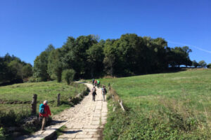 Walk the Camino de Santiago